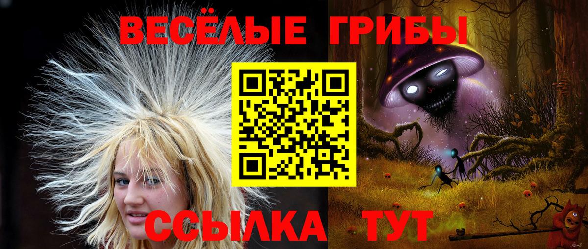 Галлюциногенные грибы Psilocybe Луховицы