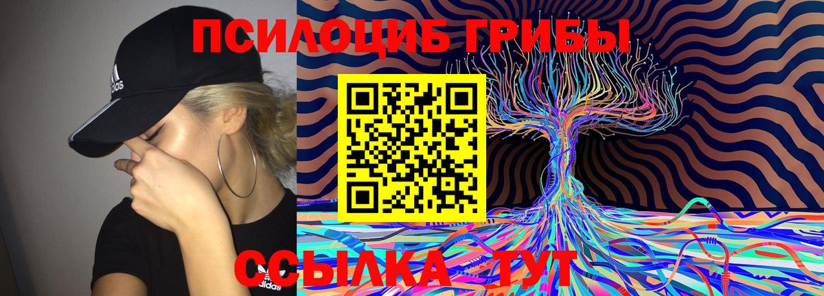 Галлюциногенные грибы Psilocybine cubensis Луховицы